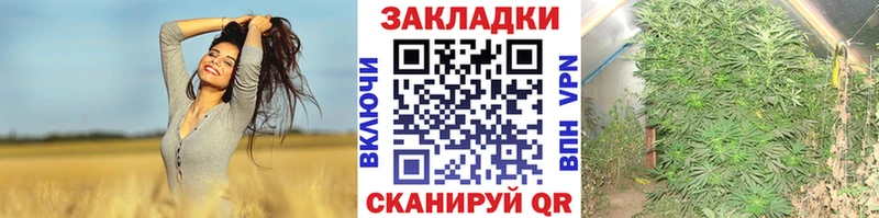 Хочу наркоту Королёв Марихуана Мефедрон A-PVP АМФ Галлюциногенные грибы Гашиш