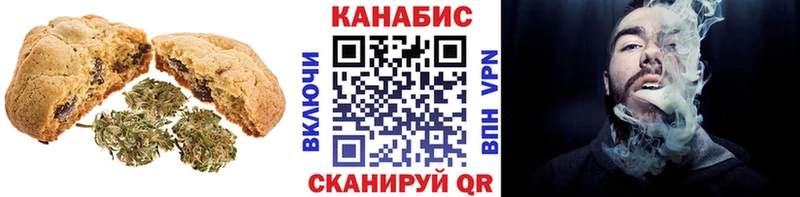 магазин продажи наркотиков  Королёв  Canna-Cookies конопля 