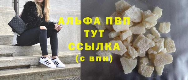 шишки Абаза