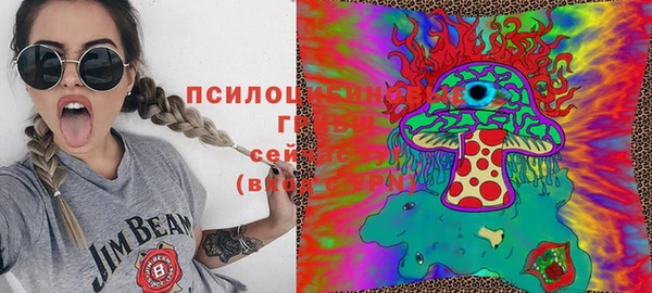 шишки Абаза