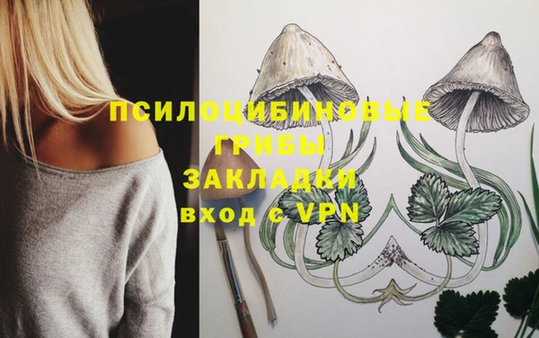 прущие грибы Алексеевка
