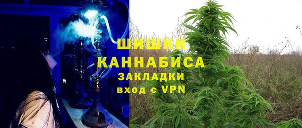 мяу мяу мука Алзамай