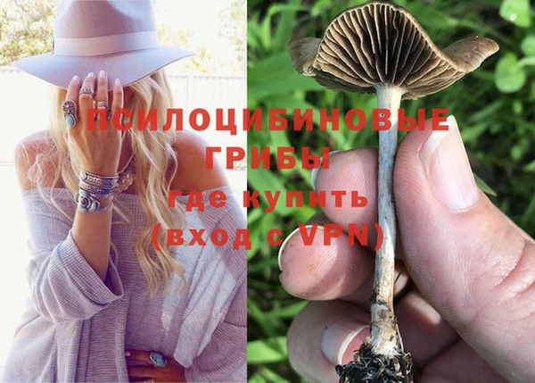 прущие грибы Алексеевка