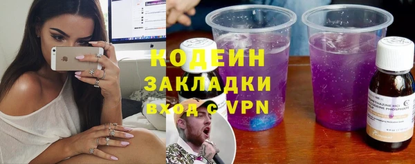 шишки Абаза