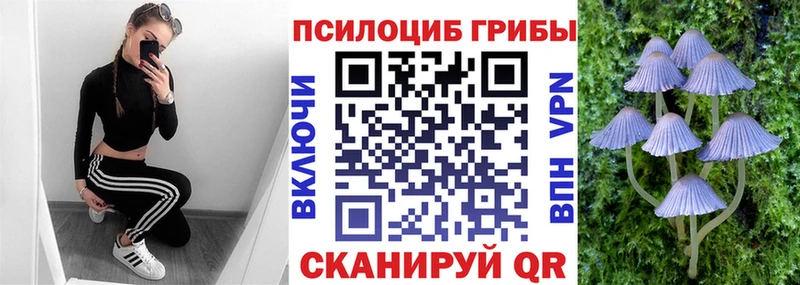 Псилоцибиновые грибы Psilocybine cubensis  закладка  Королёв 